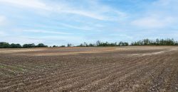Turkey Creek Tributary Farm