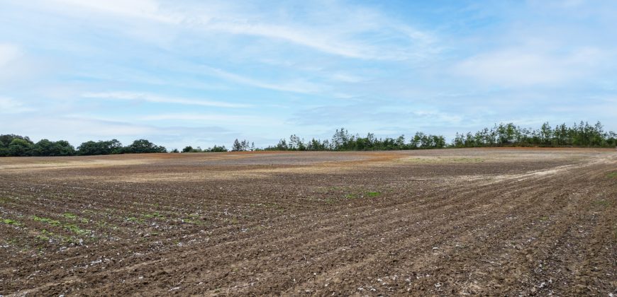 Turkey Creek Tributary Farm