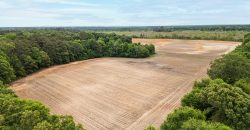 Turkey Creek Tributary Farm