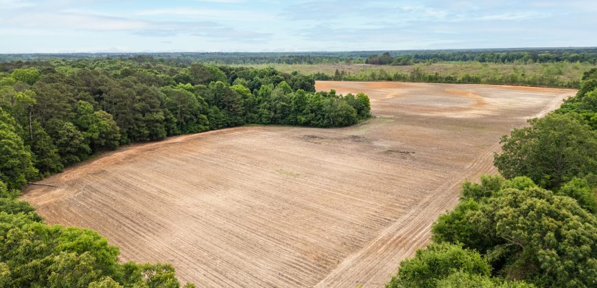 Turkey Creek Tributary Farm