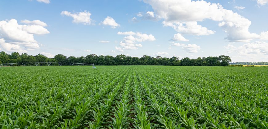 Hilokee Creek Farm
