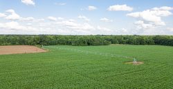 Hilokee Creek Farm