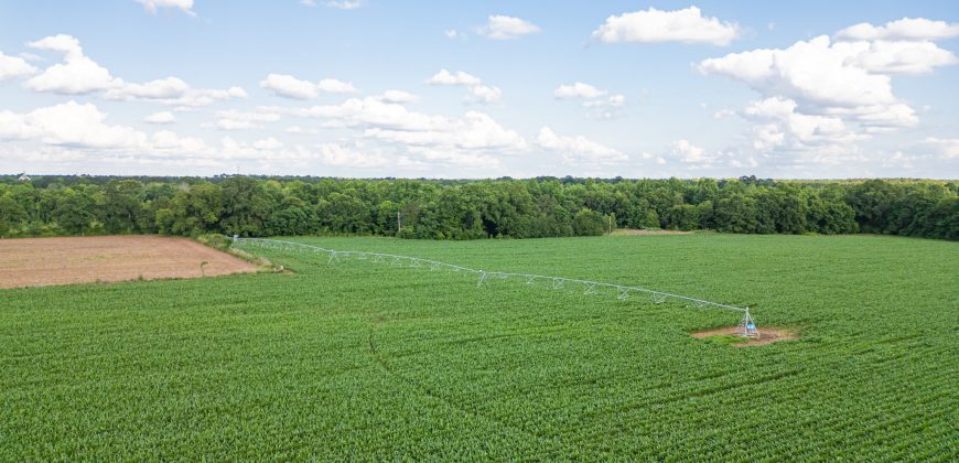 Hilokee Creek Farm