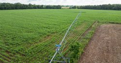 Hilokee Creek Farm