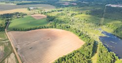 Hilokee Creek Farm