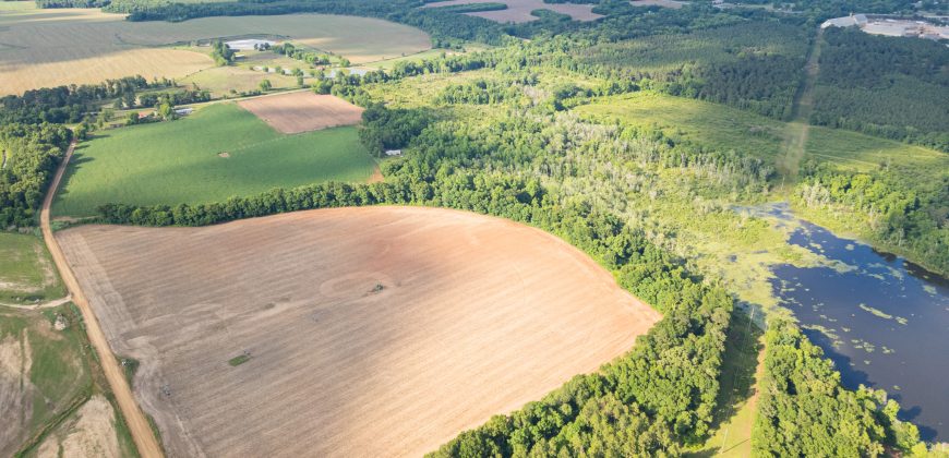 Hilokee Creek Farm