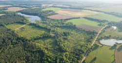 Hilokee Creek Farm
