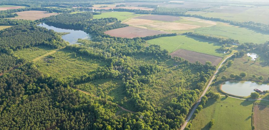 Hilokee Creek Farm