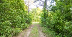 Hilokee Creek Farm