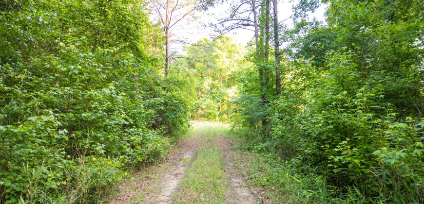 Hilokee Creek Farm