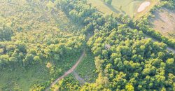 Hilokee Creek Farm