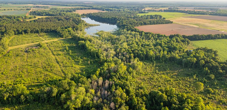 Hilokee Creek Farm