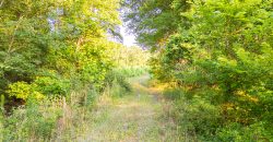 Hilokee Creek Farm