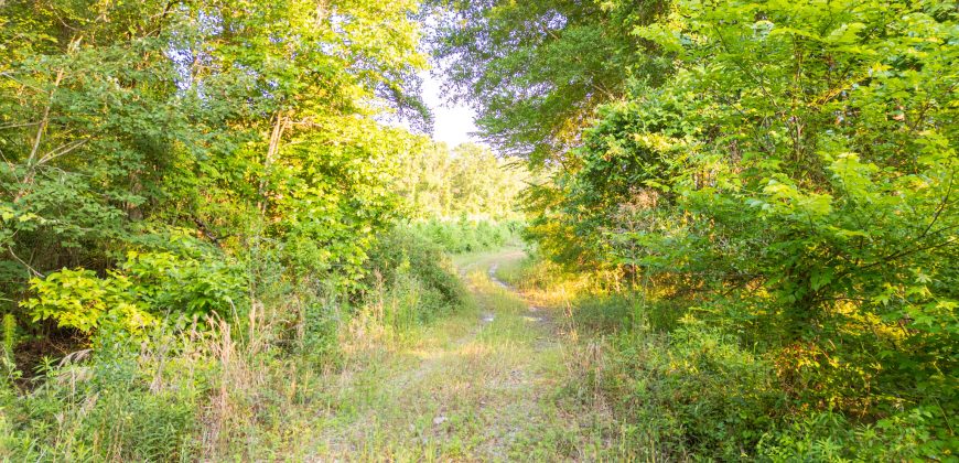 Hilokee Creek Farm