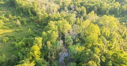 Hilokee Creek Farm