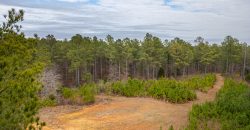 Macks Creek south