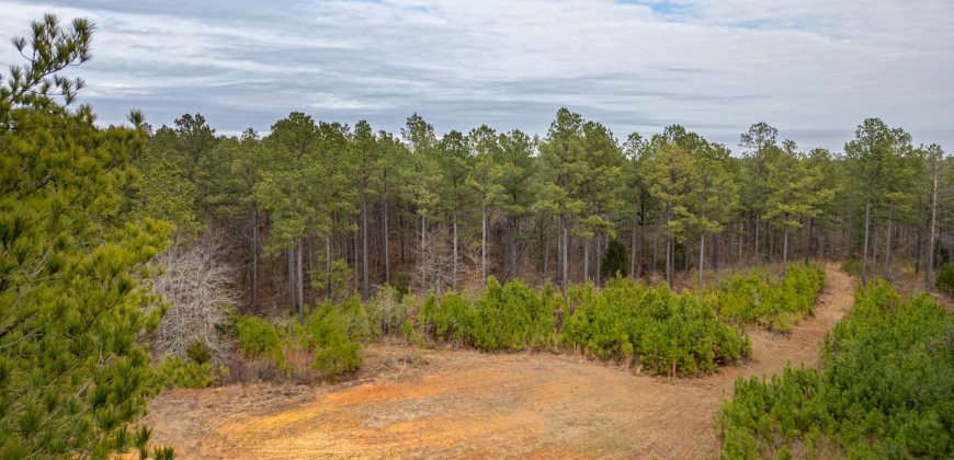 Macks Creek south