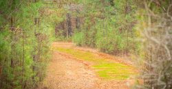Macks Creek south