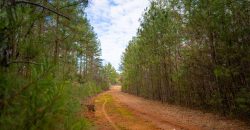 Macks Creek south