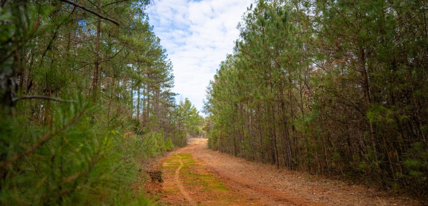 Macks Creek south