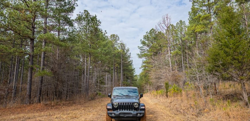 Macks Creek south
