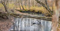 Macks Creek south