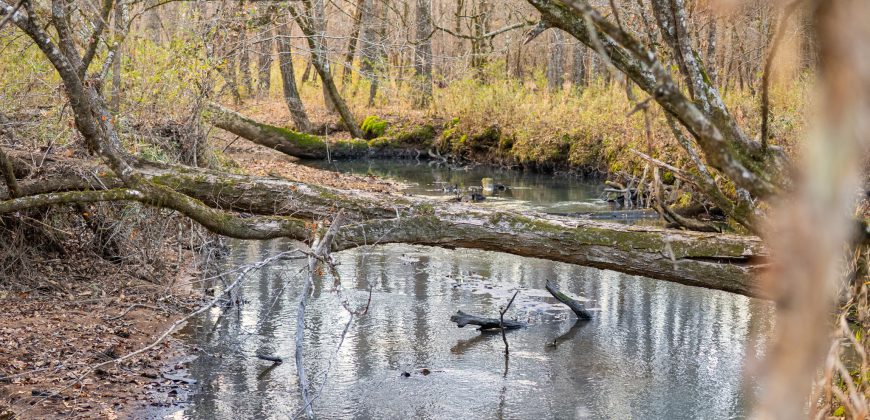 Macks Creek south