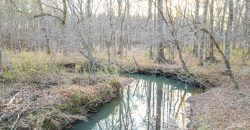 Macks Creek East