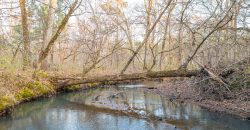 Macks Creek south