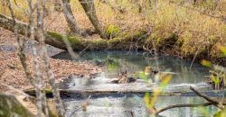 Macks Creek south