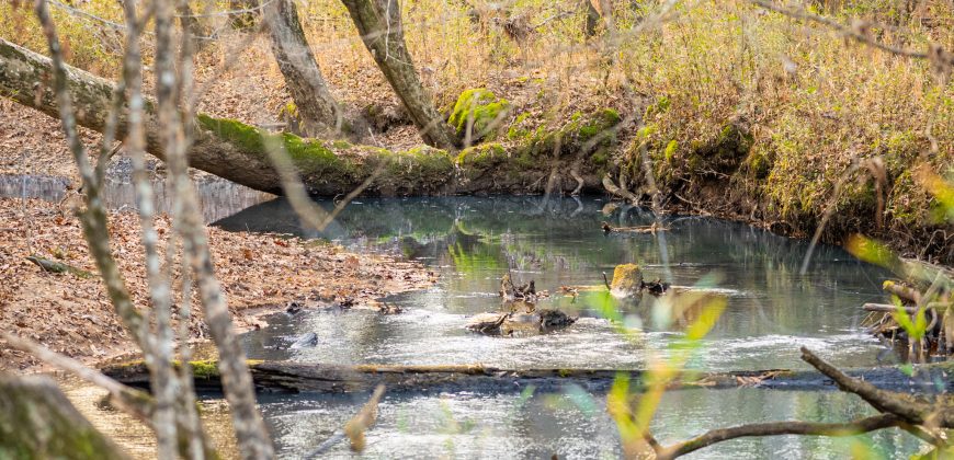 Macks Creek south