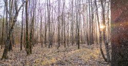 Macks Creek East
