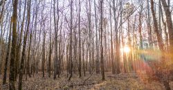 Macks Creek south