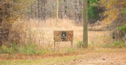 Macks Creek south