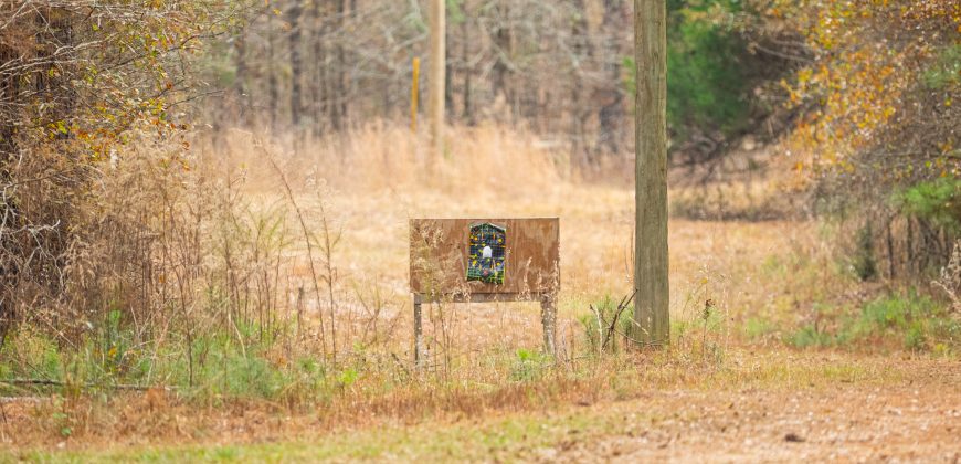 Macks Creek south