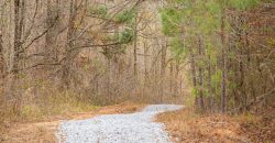 Macks Creek East