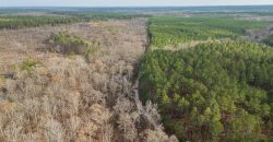 Macks Creek south
