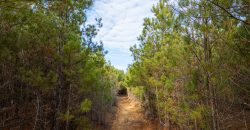 Macks Creek East