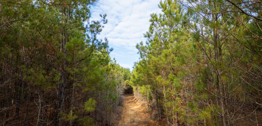 Macks Creek East
