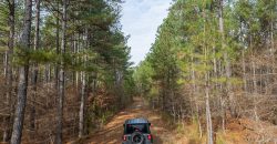 Macks Creek south