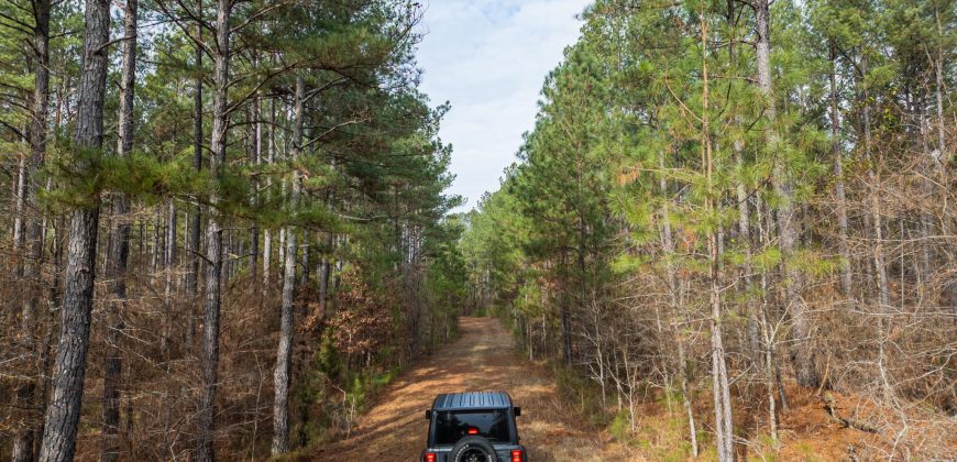 Macks Creek south