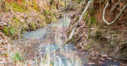 Macks Creek south
