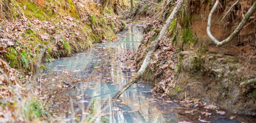 Macks Creek south