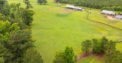 Sunday In the South