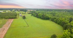 Sunday In the South