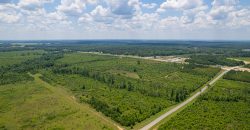 I-16 Corridor