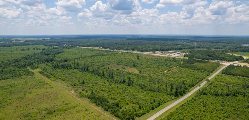 I-16 Corridor