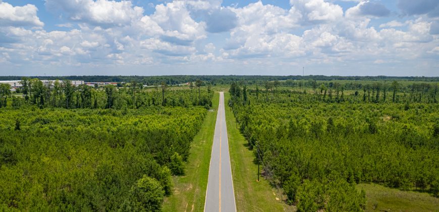 I-16 Corridor