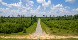 I-16 Corridor