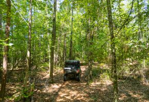 Camp Creek